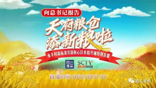 向总书记报告：天府粮仓添新粮啦！